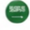 Saudi Arabia flag